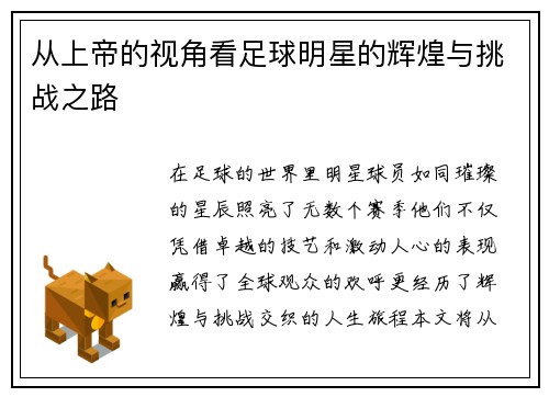 从上帝的视角看足球明星的辉煌与挑战之路